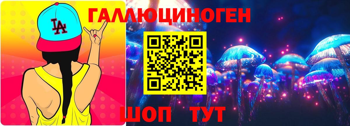 Псилоцибиновые грибы ЛСД  закладки  Димитровград  Вход с VPN 